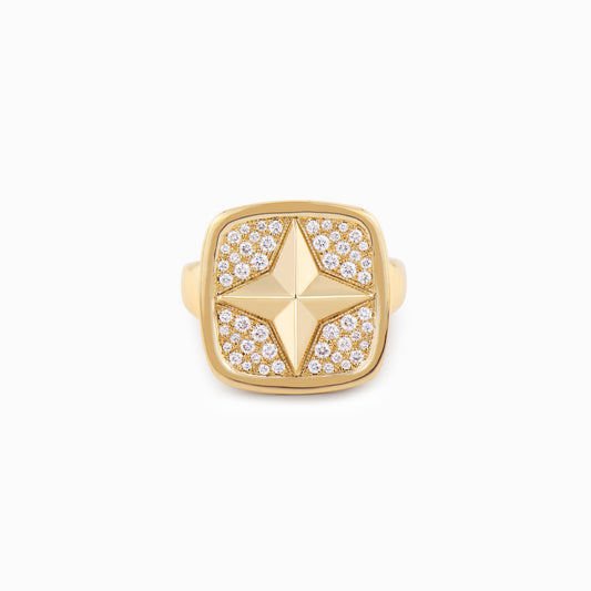 FIERCE Audacious Diamond Signet Ring