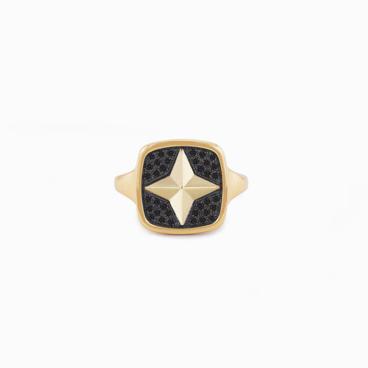 FIERCE Cheeky Black Diamond Signet Ring