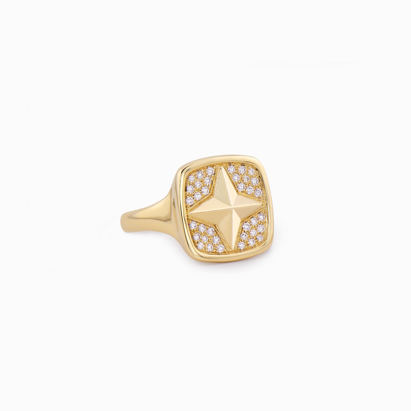 FIERCE Cheeky Diamond Signet Ring