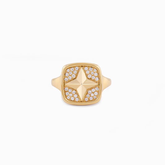 FIERCE Cheeky Diamond Signet Ring