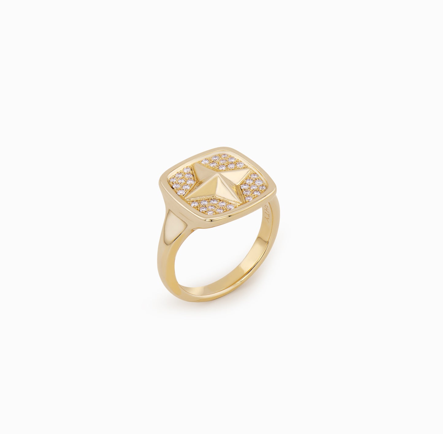 FIERCE Cheeky Diamond Signet Ring